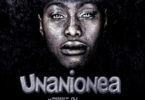 Kidene - Unanionea