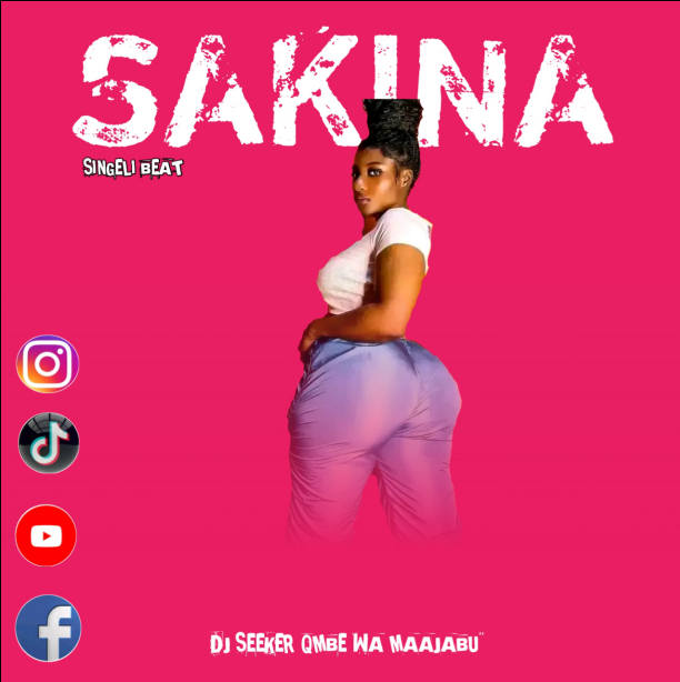 DJ seeker - SAKINA SiNgElI BeAt | Download Mp3