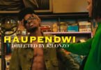 Ndaro x G boy – Haupendwi | Download Mp3