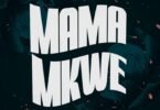 Yamoto Band Ft. Barnaba – Mama Mkwe | Download Mp3