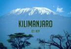 Ice Boy - Kilimanjaro