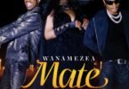 Luludiva Ft Mabantu - Wanamezea Mate