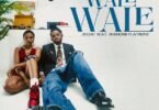 Zuchu Ft Diamond Platnumz - Wale Wale