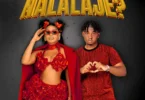 Gigy Money ft Crimmy - Nalalaje