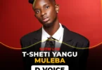 D Voice - Tisheti Yangu Show Live Muleba