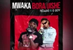 Ndaro X G boy - Mwaka bora uishe Mp3 Download