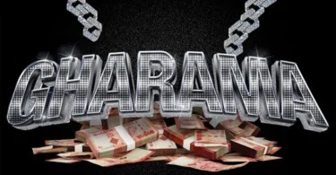 D Voice Gharama | Buraplay