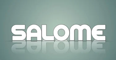 Dj seeker - Salome Singeli Beat
