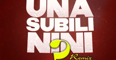 Chino Kidd X Kidochu Mc - Unasubili Nini Remix