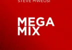 Steve Mweusi - Mega Mix