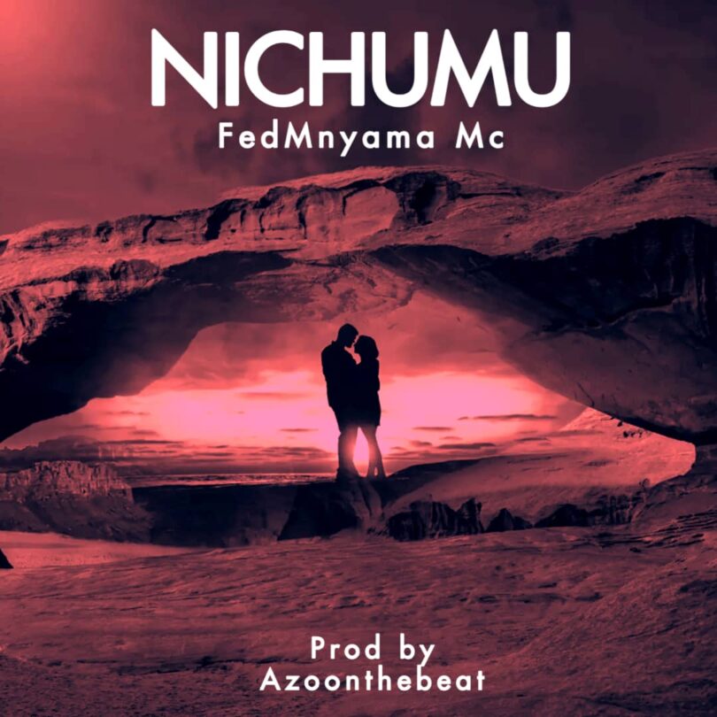FedMnyama Mc - Nichumu