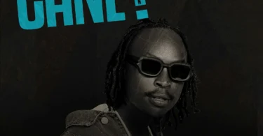 Cane By Melanin Boy