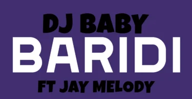 Dj Baby Ft Jay Melody - Baridi