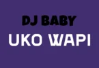 Dj Baby - Uko wapi