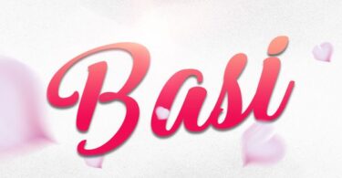 Hamis Bss - Basi
