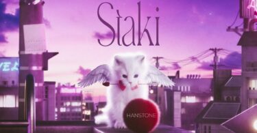 Hanstone - Staki