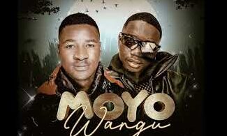 Mizzo Genius ft Dogo Paten - Moyo Wang_Buraplay