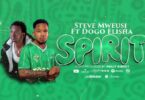 Steve Mweusi Ft Dogo Elisha - Spirit