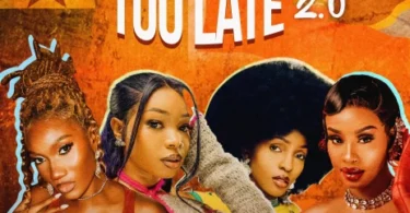 Wendy Shay - Too late Remix ft Guchi, Phina & Bedjine
