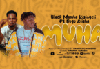 Black Mamba FT Dogo Elisha - Kisingeli