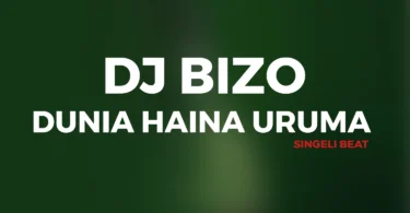 Dj Bizo - Dunia Haina Uruma Singeli Beat