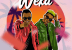 Dully Sykes Ft Marioo - weka