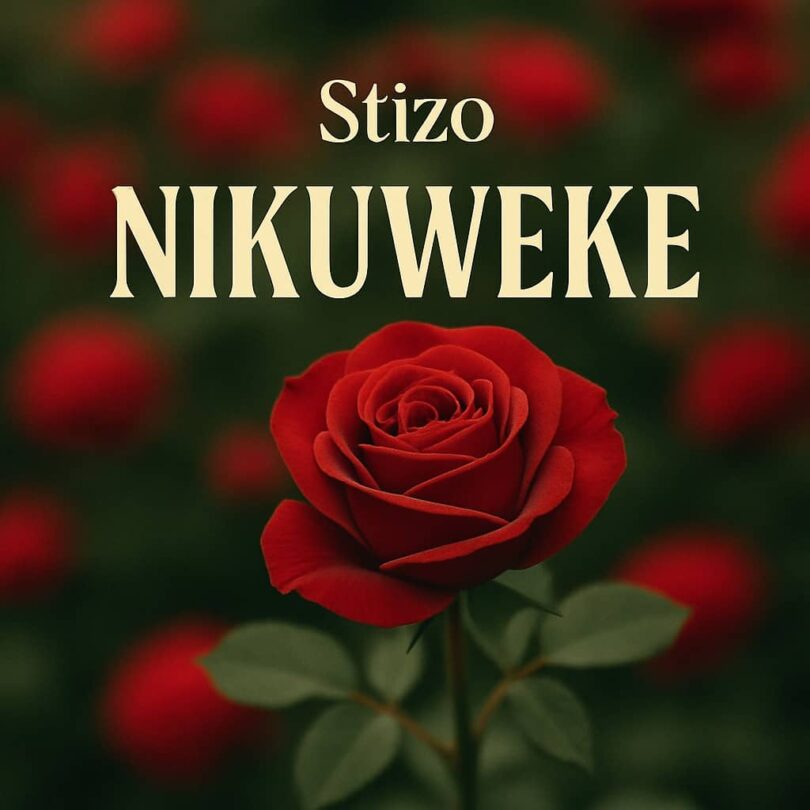 Stizo - Nikuweke