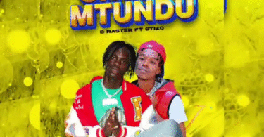 Stizo ft D raster - Chura mtundu