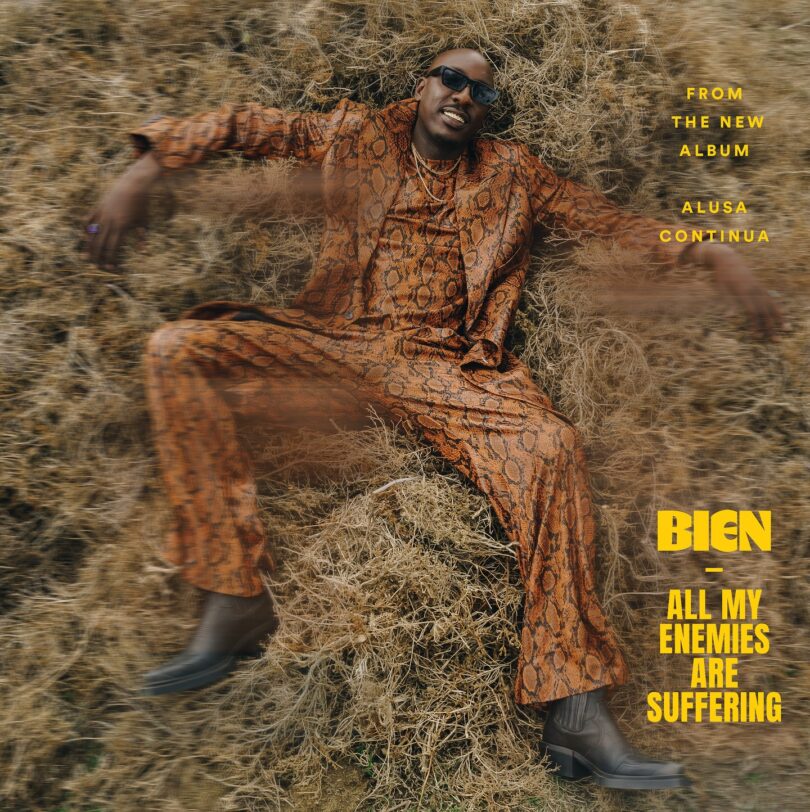 All My Enemies Are Suffering by Bien