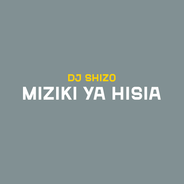 DJ Shizo - Miziki Ya Hisia