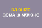 Dj Shizo - Goma La Mwisho