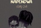 Robby Vibe - Napendwa
