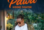 kidene fighter - Pawa_Buraplay