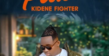kidene fighter - Pawa_Buraplay