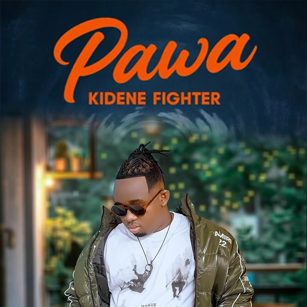 kidene fighter - Pawa_Buraplay